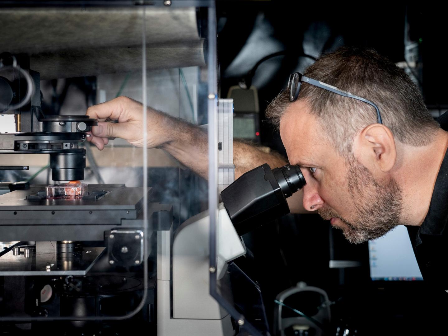 Chercheur qui regarde dans un microscope, imagerie de phase